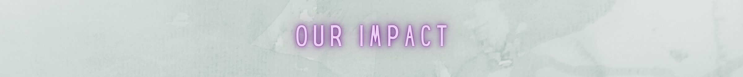 Our Impact - Rescue Network