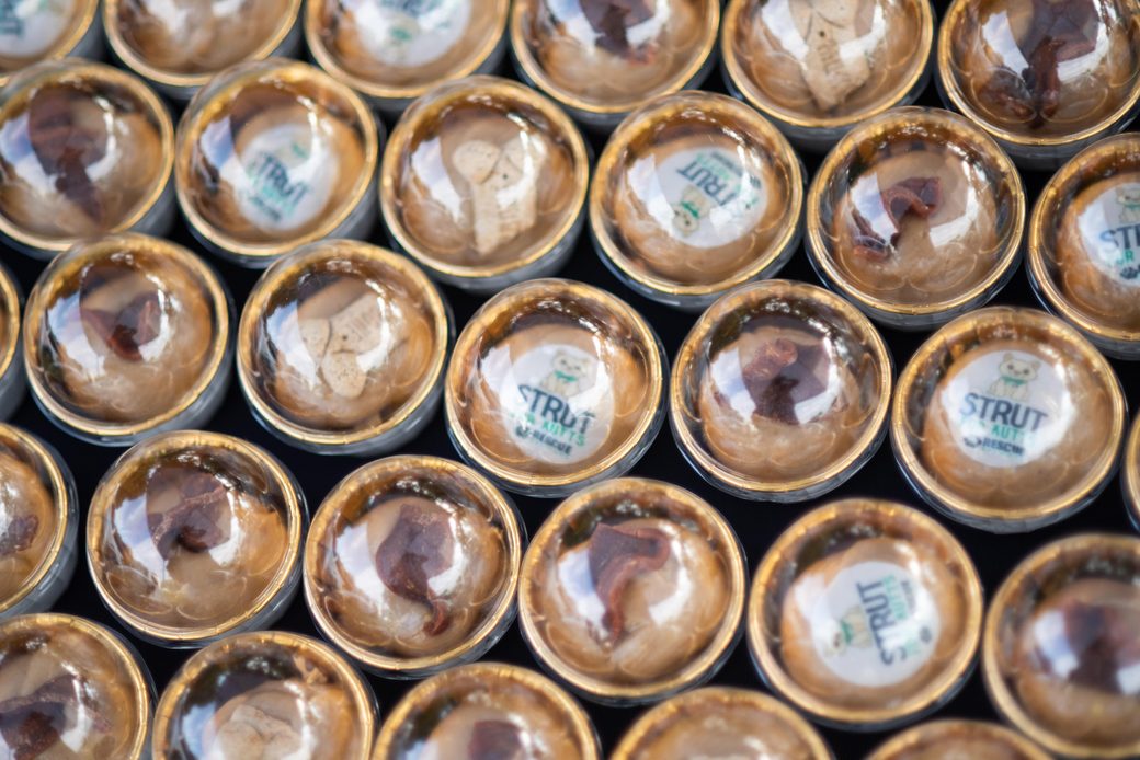 Rows of clear cups of dog treats with Strut for Mutts labels
