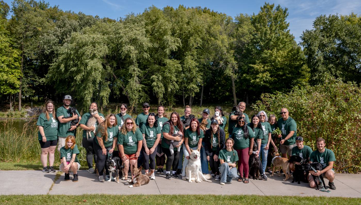 The Rescue Network team in green Strut for Mutts shirts, lined up by the pond with their foster dogs at the 2026 walk